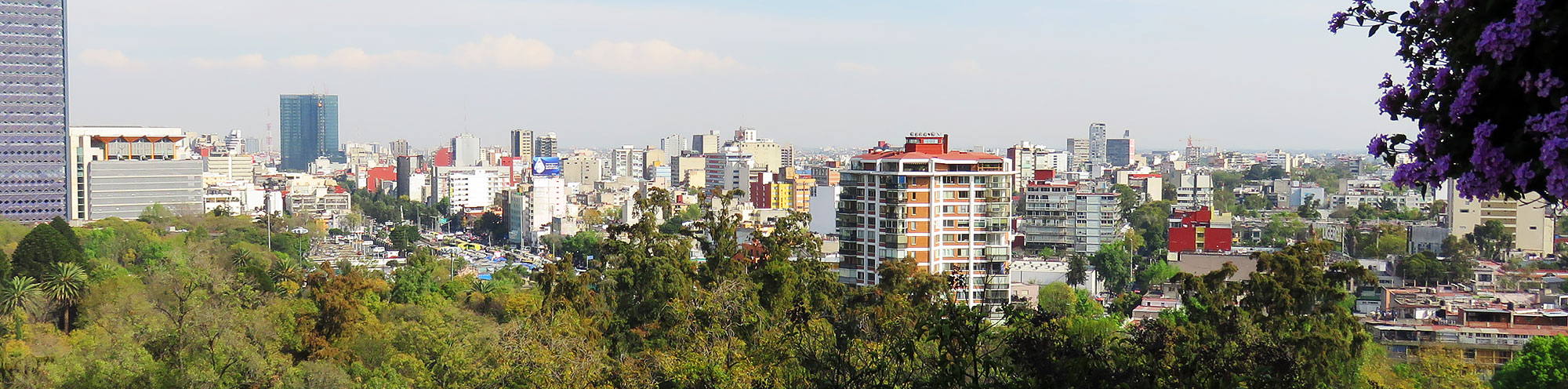 cursos de diseño web presenciales en la ciudad de méxico